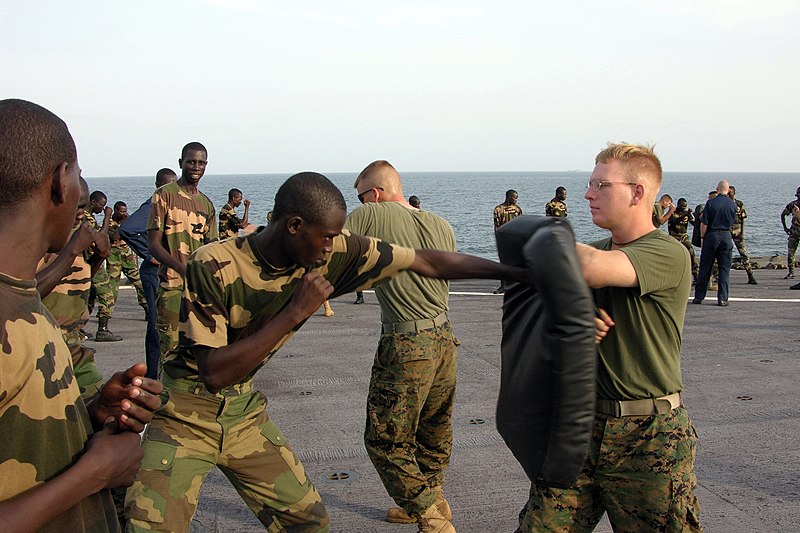 File:US Navy 051103-M-2175L-200 U.S. Marine Corps Lance Cpl. Ryan Papa, right, assigned to 2nd Platoon, Company C, 1st Battalion, 8th Marine Regiment, holds a striking pad for a member of the Senegalese 90th Naval Infantry.jpg
