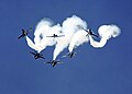 US Navy 110911-N-IR859-035 The U.S. Navy flight demonstration squadron, the Blue Angels, perform the Loop Break Cross maneuver at the Guardians of.jpg