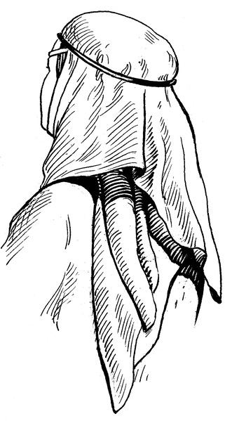 File:Veil - Back (PSF).png