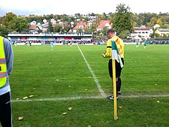 VfB Eichstätt - TSV 1860 München 3.10.2017 7.jpg