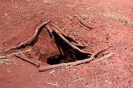 Femme Bozo dans son habitation souterraine, village Bozo, 1972, Mopti, Mali.