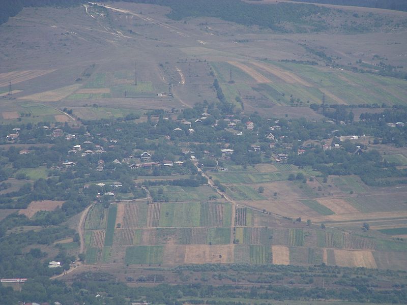 File:Village Didi Bekami.JPG