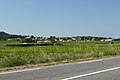 Français : Vue d'ensemble du village Saint-Gervais (Gard).