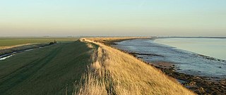 <span class="mw-page-title-main">Wallasea Island</span> Low lying island on coast of Essex, United Kingdom