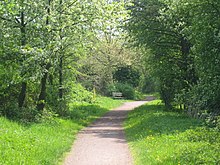 Footpath by the Klingbach in Billigheim-Ingenheim