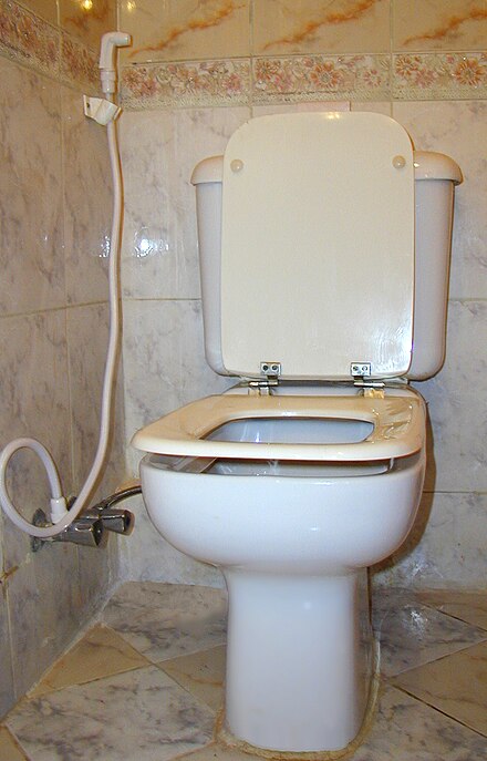 Мусульмане вода туалет. Унитаз с душем для подмывания. Шланг для подмывания в туалете.