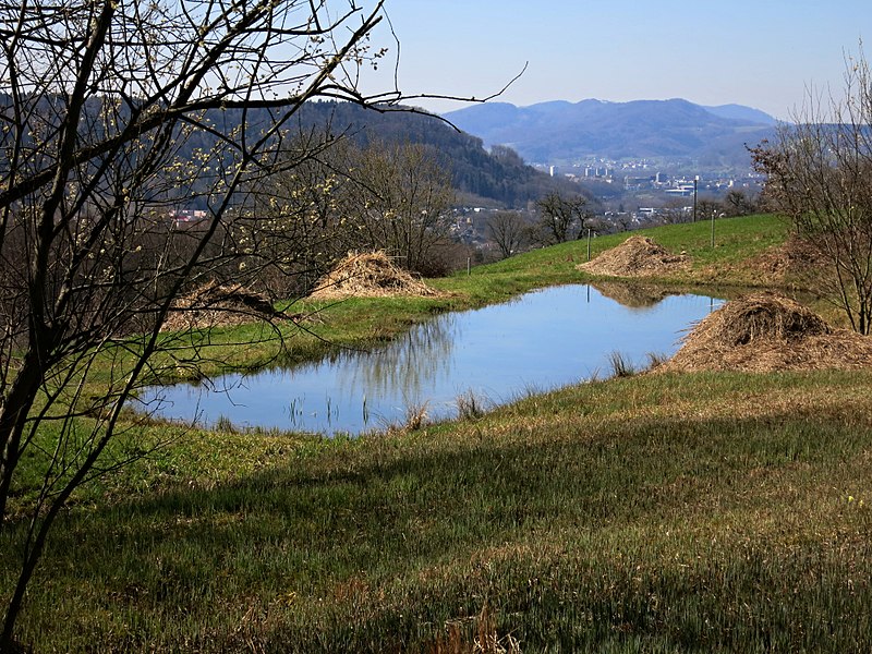 File:Weberweiher.JPG