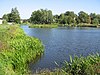 Werdermuehle fishponds1.JPG