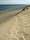 View from the top of the dune at Whitecrest Beach