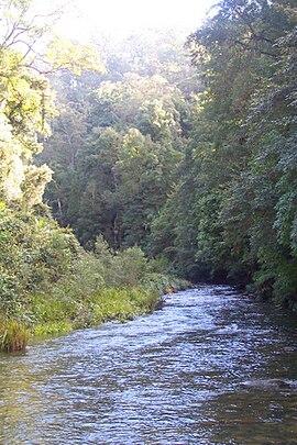 Wilson Sungai Selatan Baru Wales.JPG