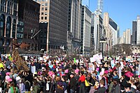 The 2017 Women's March in Chicago Women's March, January 21 2017, Chicago (32066902410).jpg