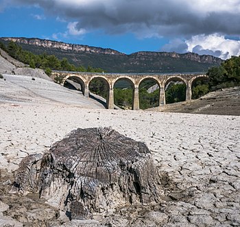 Low water level at the Yesa reservoir. Tree trunk. Bridge of the N240 state road. Aragón, Spain