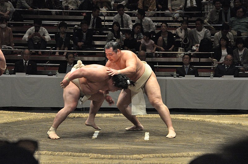 File:Yokoduna Keiko Soken-39.jpg