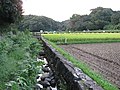 寺家ふるさと村にて寺家川