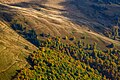 * Nomination Synevyr national park, Ukraine By User:Zysko serhii --Luda.slominska 21:13, 4 August 2023 (UTC) * Decline Insufficient quality (sharpness). --Аныл Озташ 21:54, 4 August 2023 (UTC)