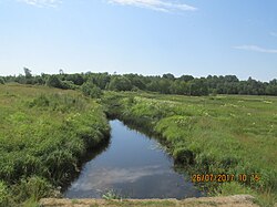 El río Kolopovka cerca del pueblo de Bolychevo