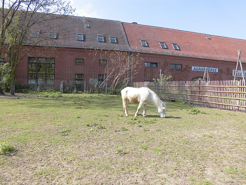 File:04 Tierhof Marzahn.jpg