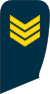 07-Lithuania Air Force-SSG.svg