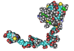 Pienoiskuva sivulle RNA-polymeraasi