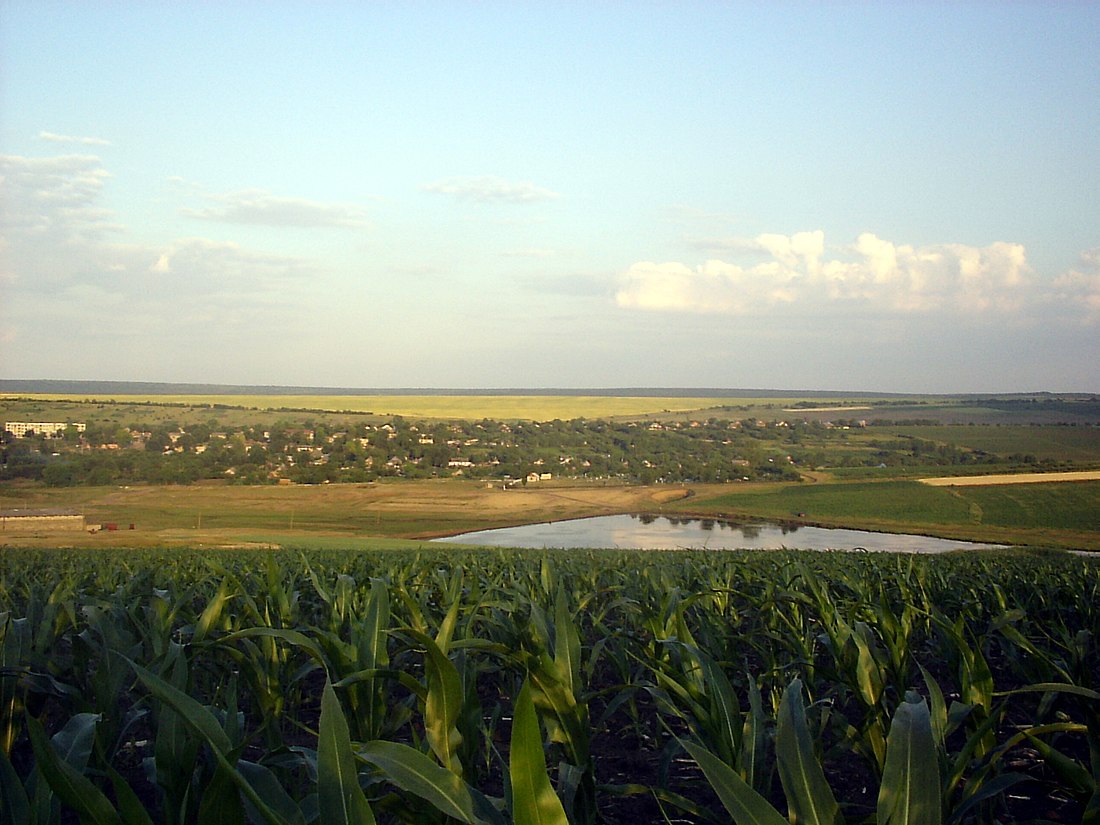 File:2007 MOLDOVA 025 copy.jpg