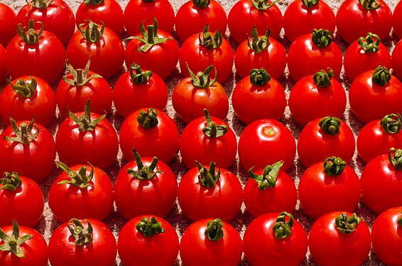 Kirschtomaten, eine ohne Fruchtstiel. Cherry tomatoes, one without fruit peduncle.