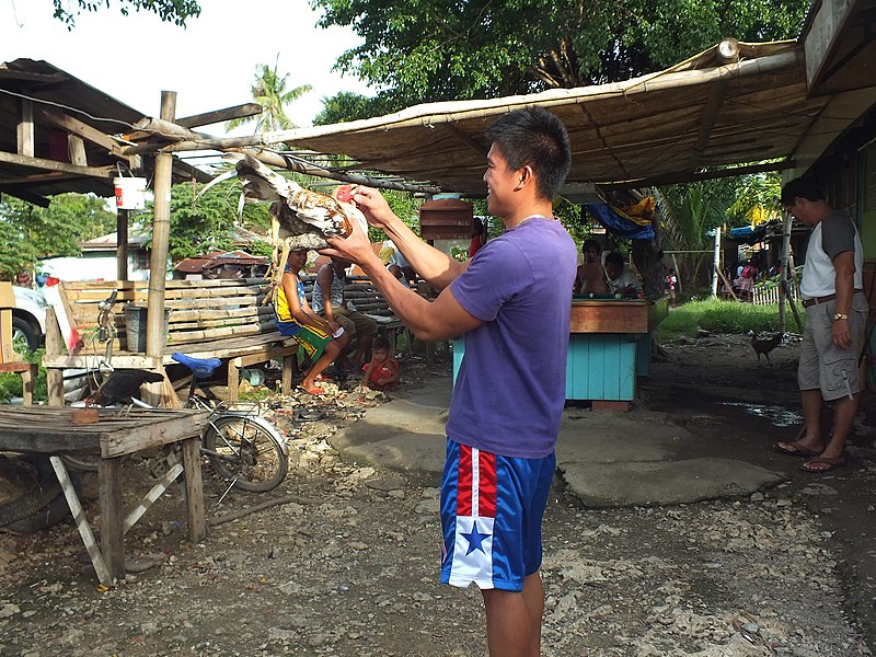 File:2016-09-28 Cockfighting in Buaya, Lapu-Lapu City, Cebu, Philippines ブアヤ村の闘鶏をする男たち DSCF6701.jpg