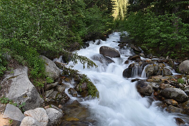 File:20170702-FS-UWC-RH-Red Pine Lake Trail-01 (36949725414).jpg