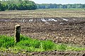 Miniatuurafbeelding voor de versie van 18 mei 2018 23:17