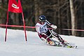 * Nomination Gerhard Wolf, Austrian Championship 2018 Skibobbing --Isiwal 09:25, 2 February 2018 (UTC) * Promotion Good quality. --Granada 09:32, 2 February 2018 (UTC)