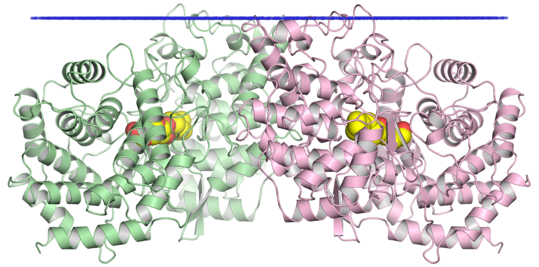 Squalene-hopene cyclase