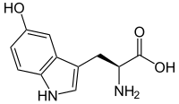 Az 5-Hydroxytryptophan szemléltető képe