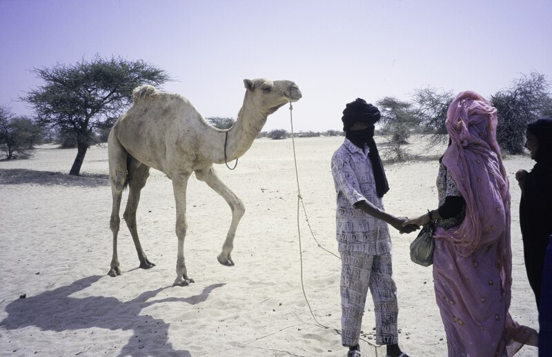 File:ASC Leiden - van Achterberg Collection - 1 - 207 - Un homme à l'extérieur sur le sable avec un chameau serre la main d'une femme touarègue - Tin Aicha, Tombouctou, Mali - 9-29 novembre 1996.tiff