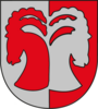St. Leonhard im Pitztal – znak