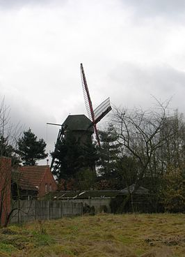 Salm-Salm Molen