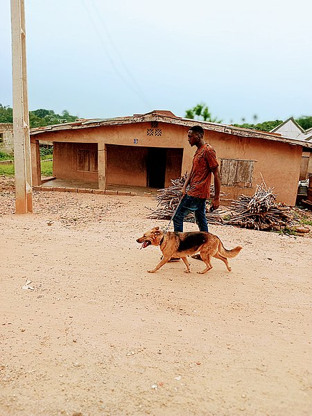 File:A gentleman with his pet.jpg