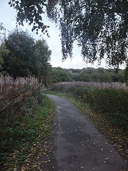 A leafy walk in Alyn Waters Country Park - geograph.org.uk - 3723185