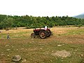 A tractor in Romania.jpg