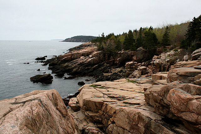 are dogs allowed at acadia national park