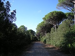 Tenuta di Tombolo