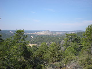 Monteagudo de las Salinas human settlement in Spain