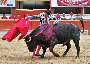A matador látványos mozdulata, a bika a vak állati indulatai szerint megy előre, de a köpeny megzavarja