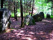 Steinreihen von Kersolan