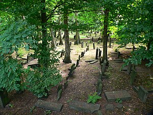 Jüdischer Friedhof Altona: Geschichte, Grabsteine, Denkmal und Forschung