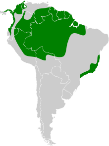 Amazona farinosa map.svg