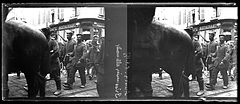 Amiens. 8.6.1915. Prisonniers allemands - Fonds Berthelé - 49Fi26.jpg