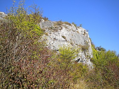 Steilwand in der Angoulême-Formation (Angoumien) bei Font-Grand