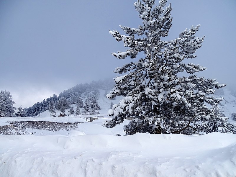 File:Anilio ski center.jpg