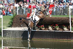 Horse and rider negotiating a water obstacle. The rider stays well back, to avoid being thrown forward on landing. Annabel Wigley (NZL) tackles the water.jpg