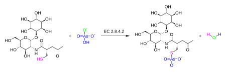 Arsenate-mycothiol transferase.svg