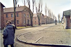 Auschwitz: Bakgrund, KZ Auschwitz, Lägrets historia